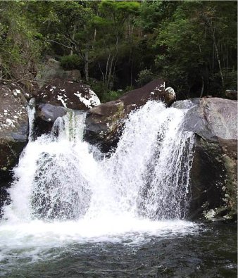 Parque Cachoeira das Andorinhas 8